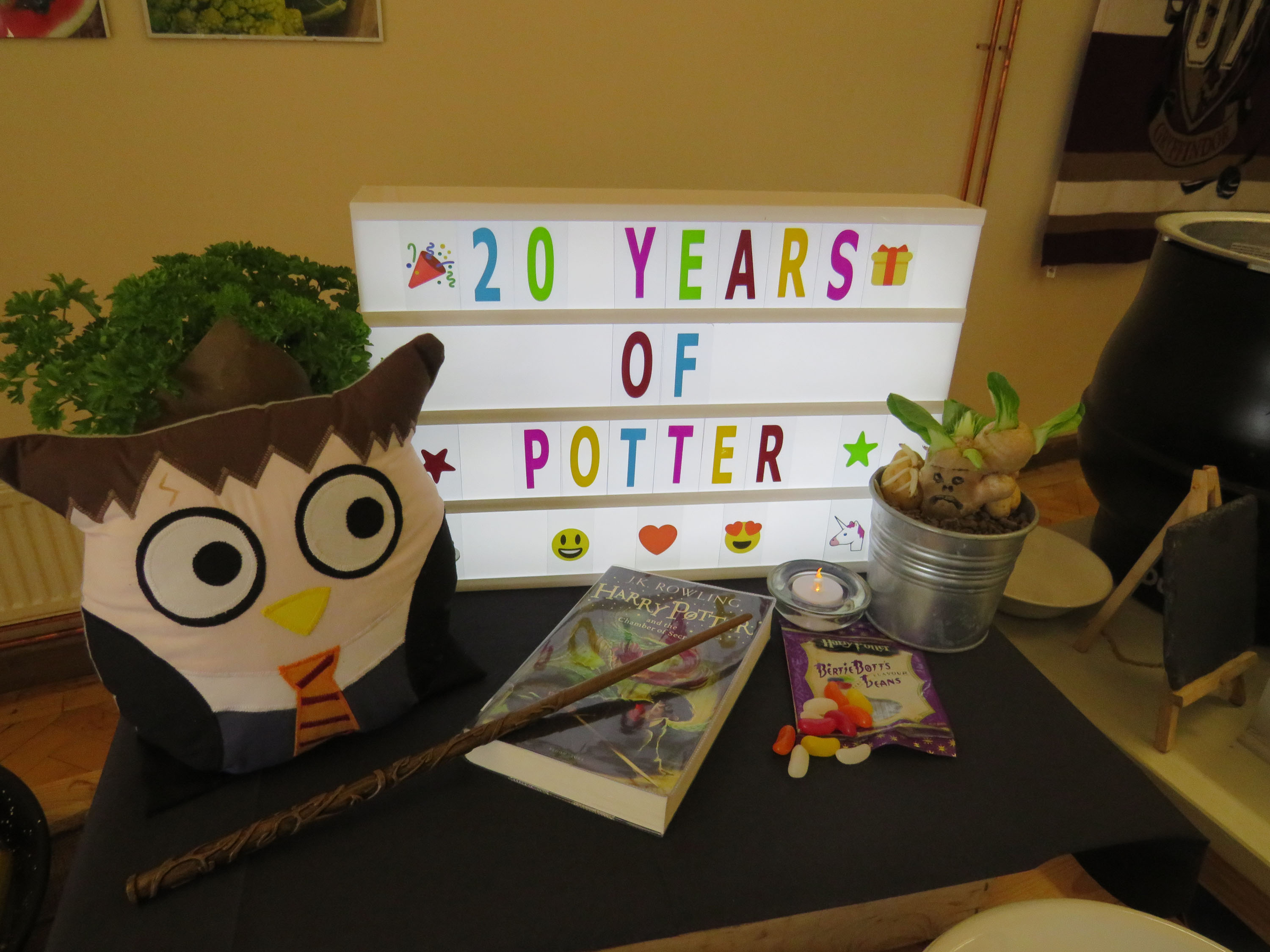Harry Potter Day at Bromsgrove Prep School, 20th June 2017